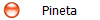 Pineta