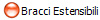 Bracci Estensibili