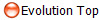 Evolution Top